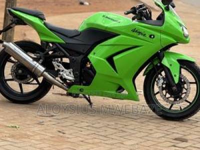Kawasaki Ninja 300 2013 Green