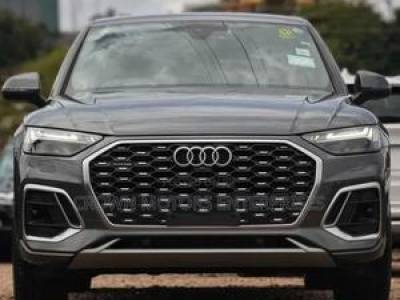 Audi Q5 2021 Gray