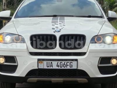 2013 BMW X6